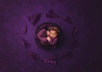 Maternity & Newborn Portrait Specialist