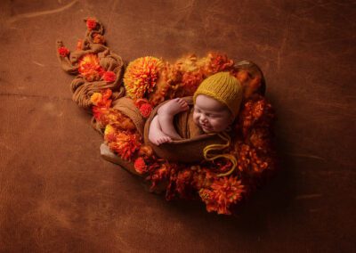 New Baby Photos Canberra | Masterpiece Session