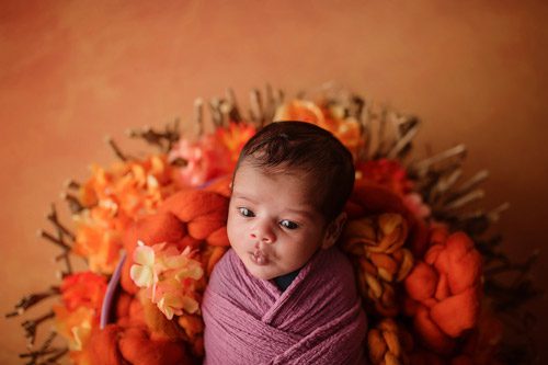 Alert newborn wrapped in lavender looking thoughtfully while nestled in a vibrant orange and yellow woollen nest, captured by a skilled newborn photographer in Canberra