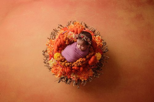 Canberra newborn photographer captures a baby swaddled in purple, nestled within an orange knitted nest surrounded by autumn-toned flowers