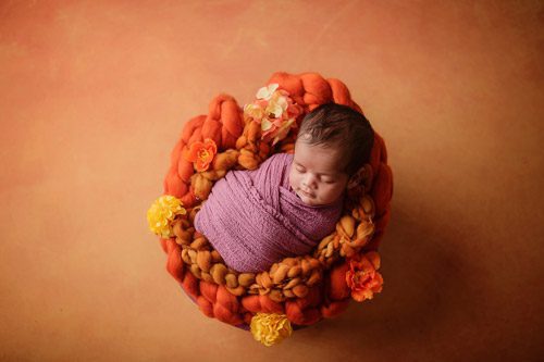 Overhead shot of a sleeping baby in a purple swaddle surrounded by a warm orange knitted nest, by a newborn photographer in Canberra