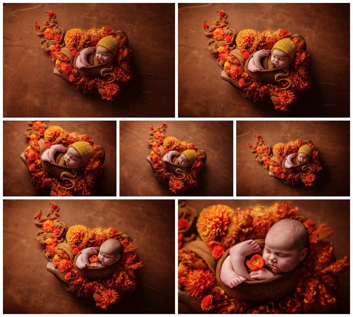 New Baby Photos Canberra_0015
