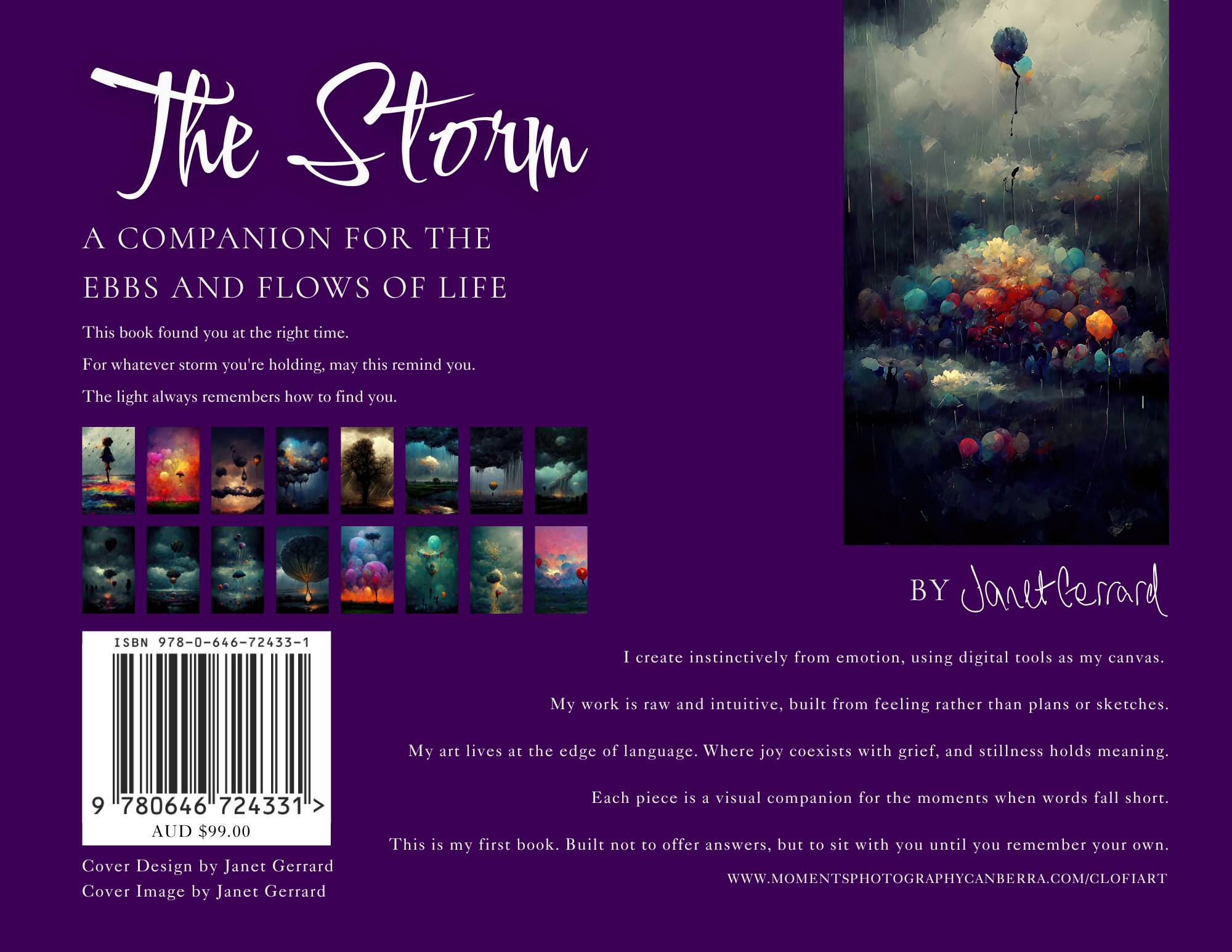 Back Cover of the Art Book The Storm By Janet Gerrard